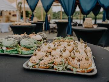 Delta Audio Entertainment